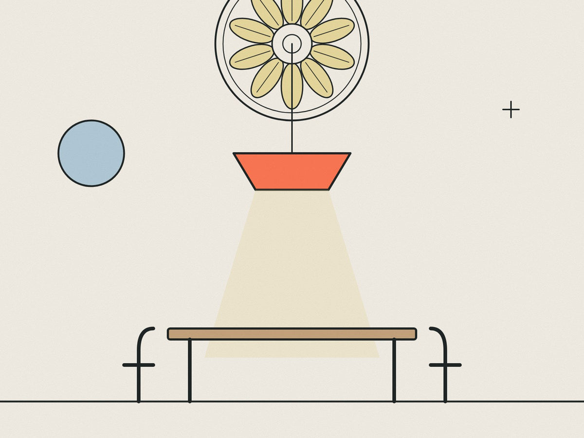 Flare illustration of a ceiling rose with a coral pendant over a modern dining table