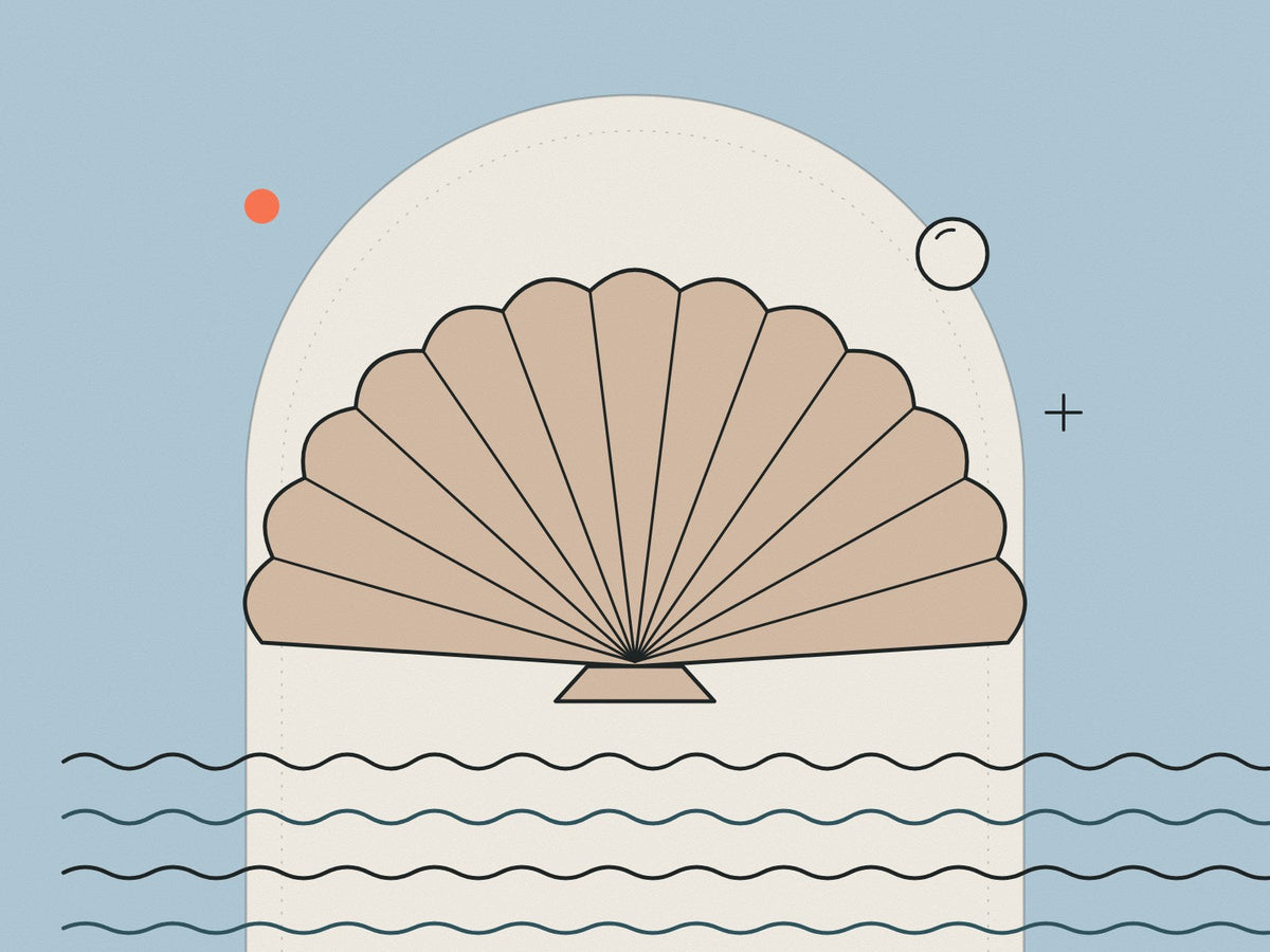 Flare illustration of a scallop shell rising from the waves