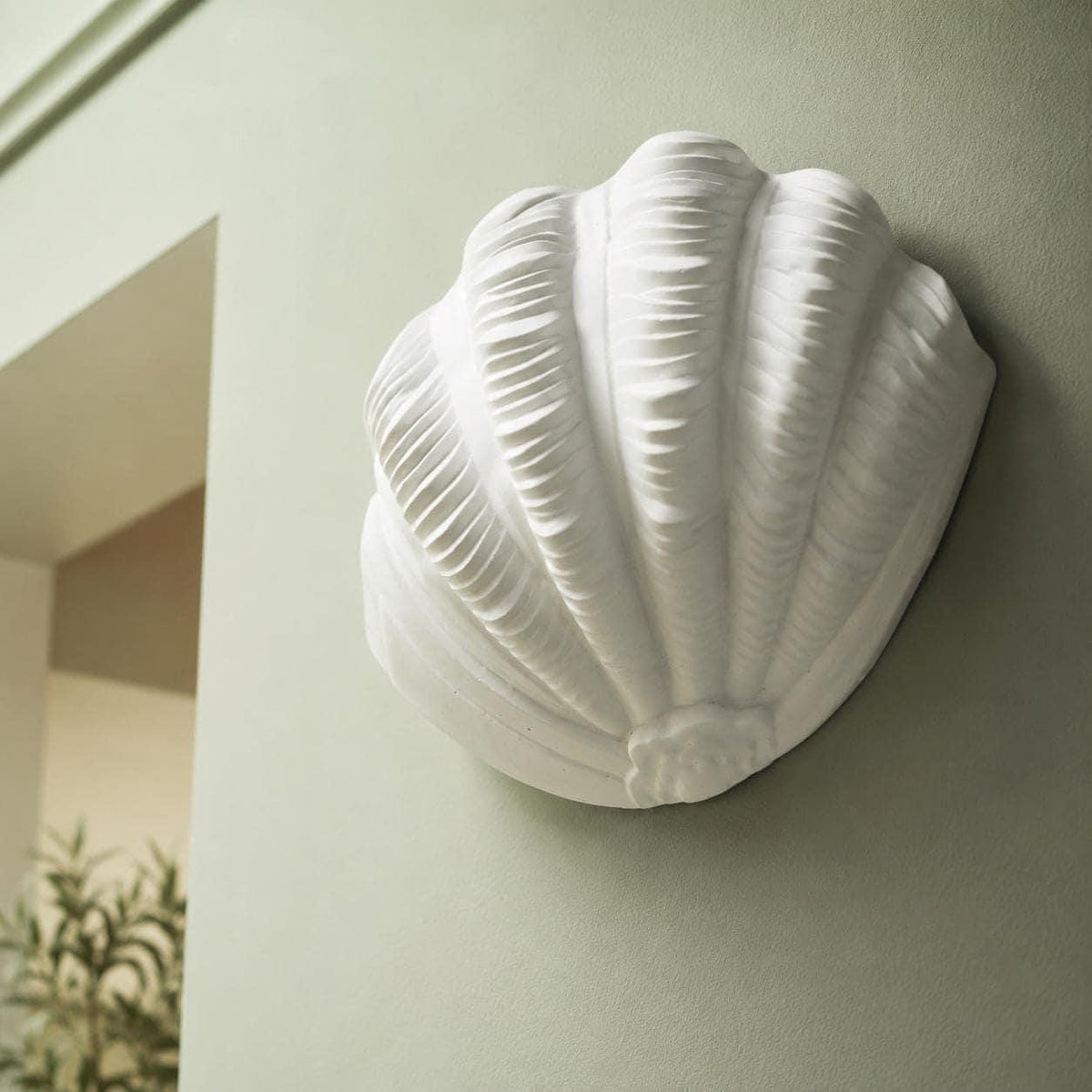 Shell Wall Light